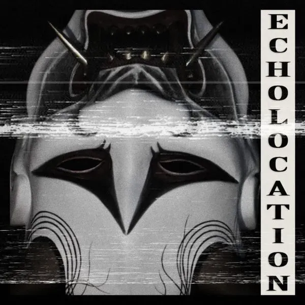 ECHOLOCATION