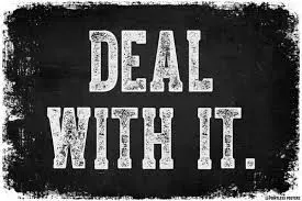 Deal With It (Snippet)