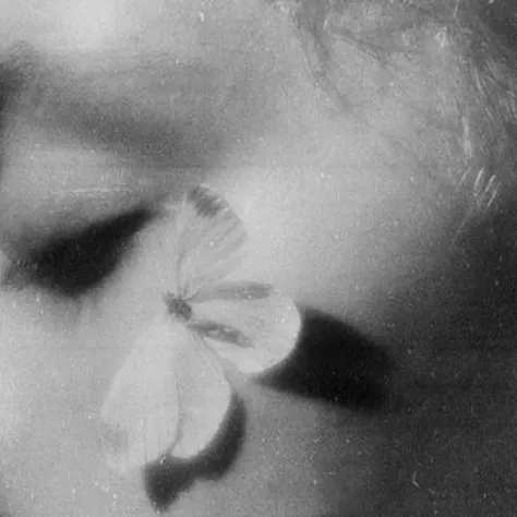 The eyes close. The body falls silent. Dreams reach for what reality never could, while the heart beats faster and faster... until a butterfly dies.