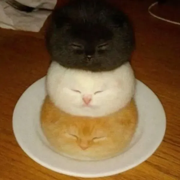 4309