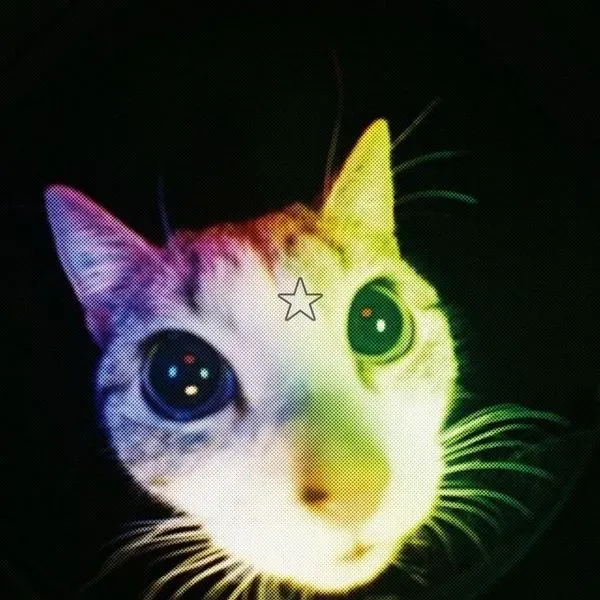 [Snippet] shiny neko