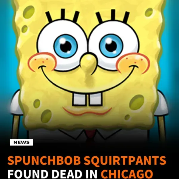 Spunchbob, we need to talk.