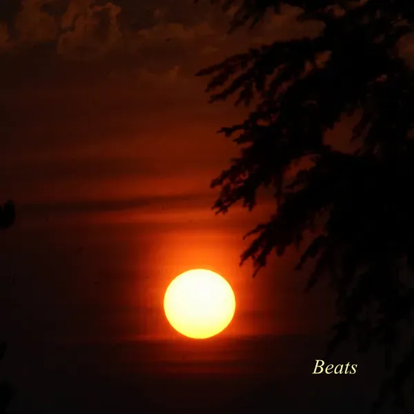 Beat 8