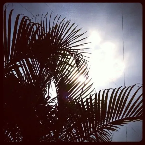 Sunrayz