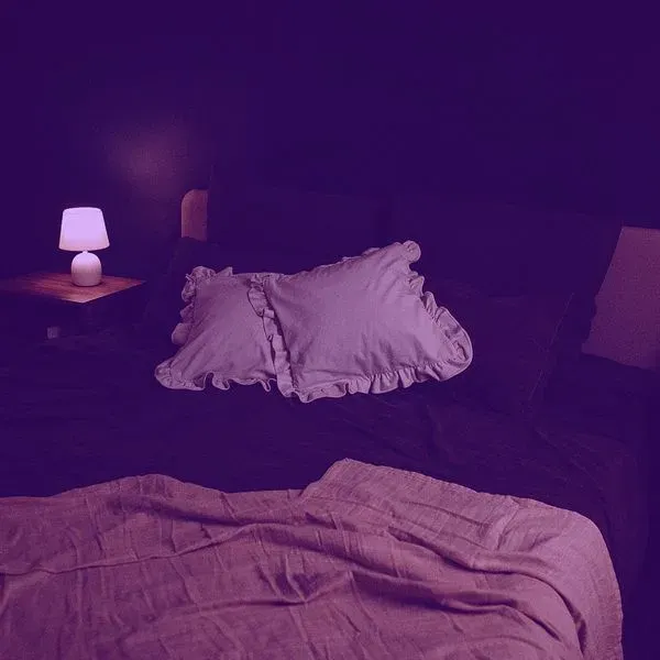 2000s Bedroom Rot (Shib5's Remix)