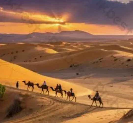 Sahara
