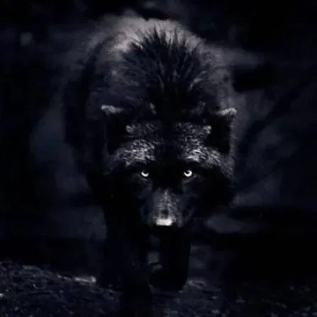 Dark Fang (collabed with RavenFX9)