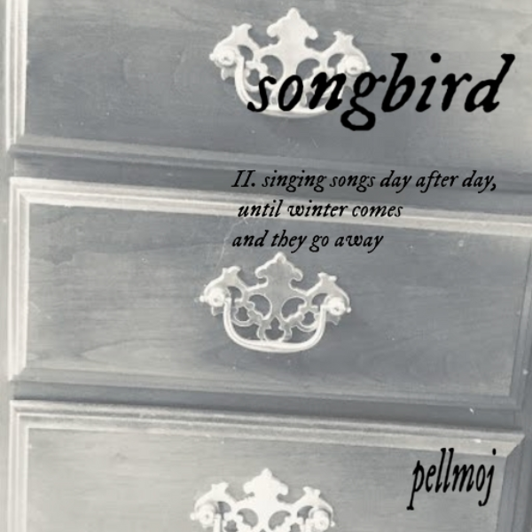 songbird