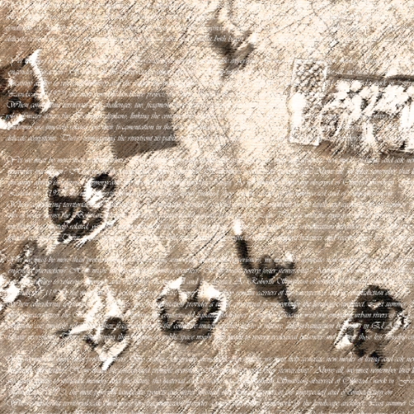 Narrative of landscape