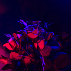 Desire