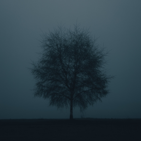 Dark Forest 4