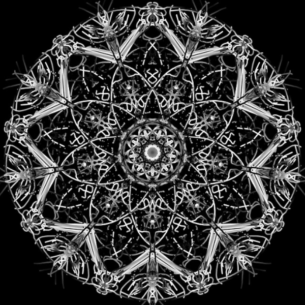 Chaos Resonance