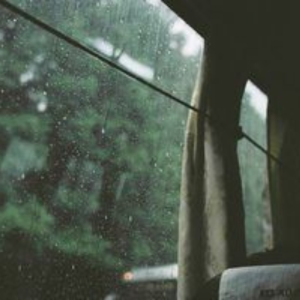 Petrichor