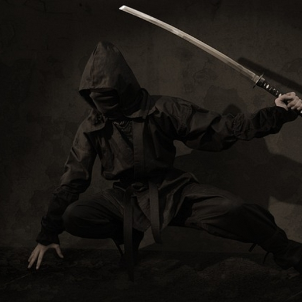 Dubstep Ninja