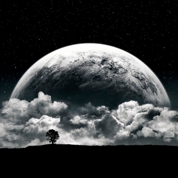 Dark Moon