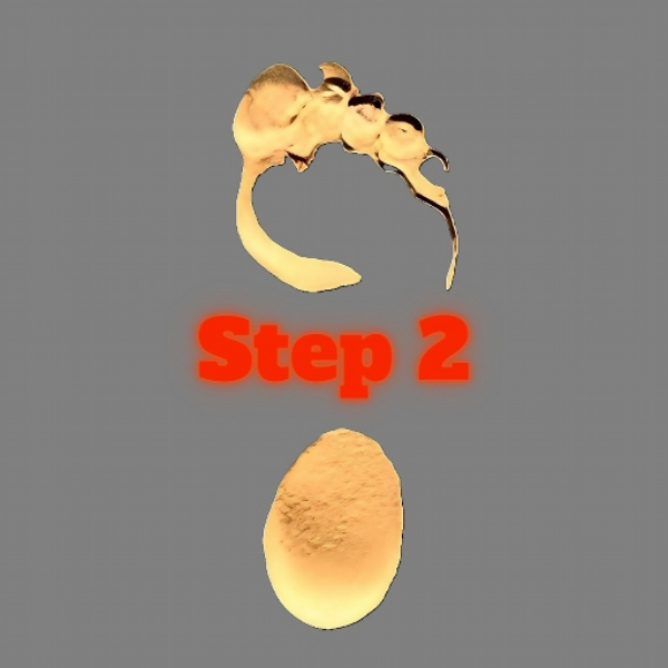 Step 2