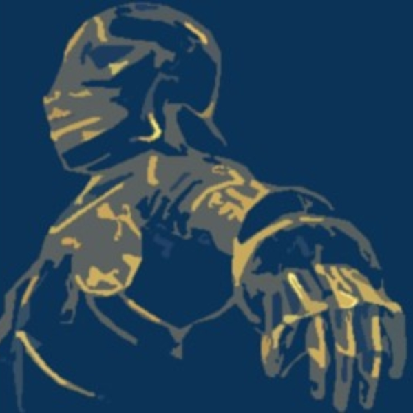 BRONZE ARMOUR