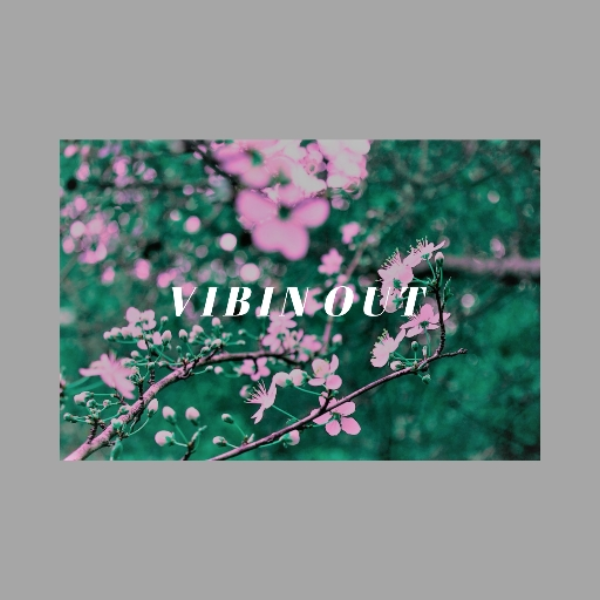 v i b i n'  o u t
