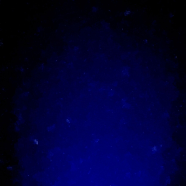 U R S A