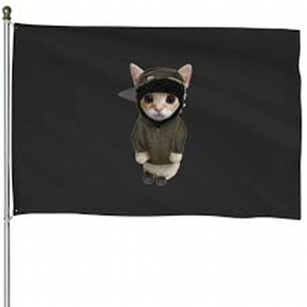 DIE L1T 4 (kitty tonka)