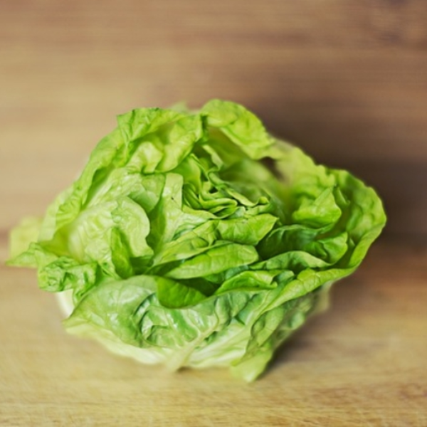 lettuce (im back!)