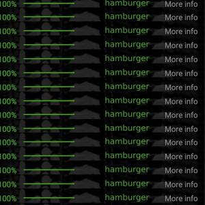 100% hamburger