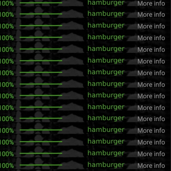 100% hamburger