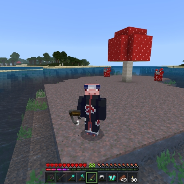 pig_physics_V2