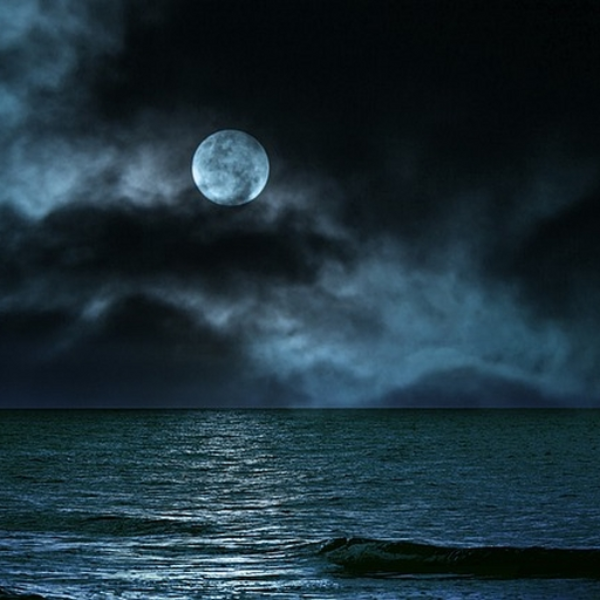 Fly me to the moon