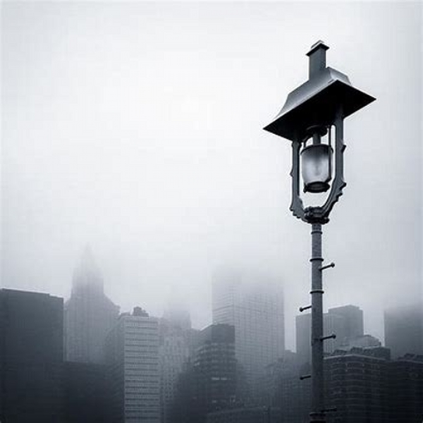 Misty morning