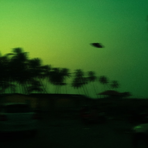 l i c e n s e