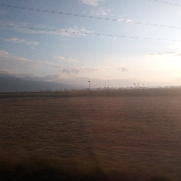 rodopi