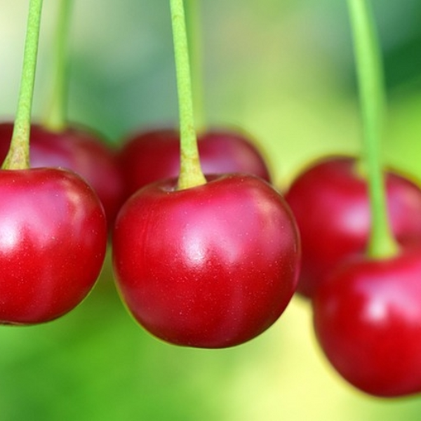 cherry - Audiotools beta beat