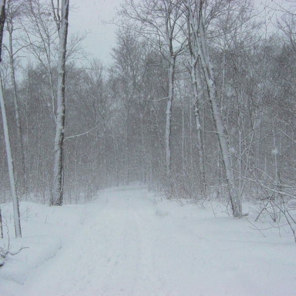 snowstorm