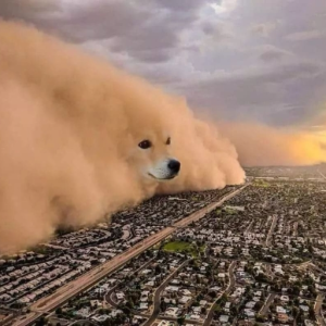 shitty sandstorm remake because why not