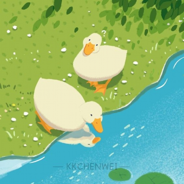 Please do not the duck