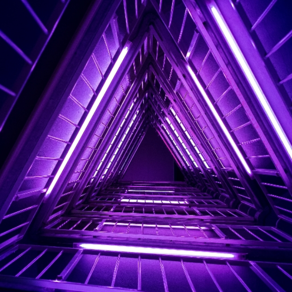 Neon jungle