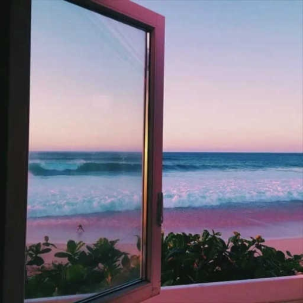 #329