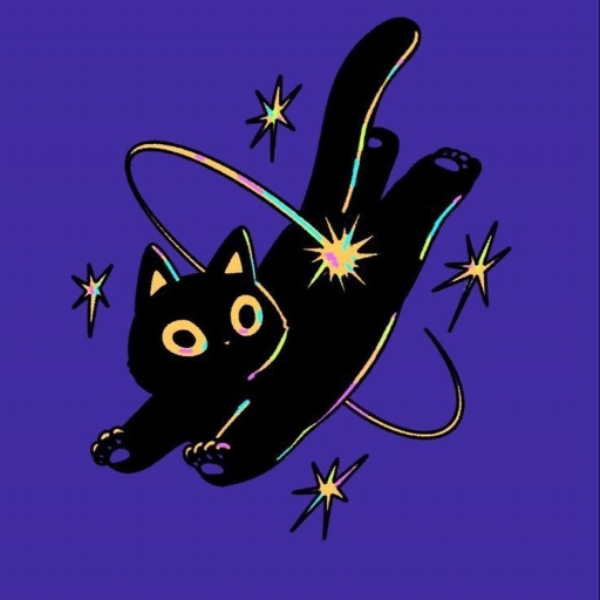 You Have Received A Cat
