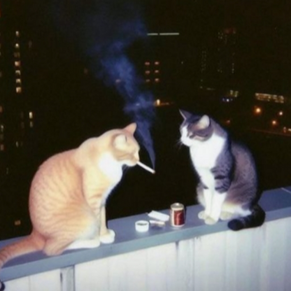 its safe here.