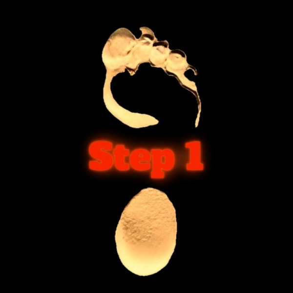 Step 1