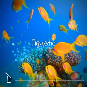 Aquatic [Tropical House]