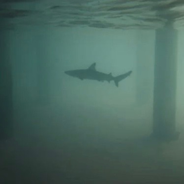 seabed.