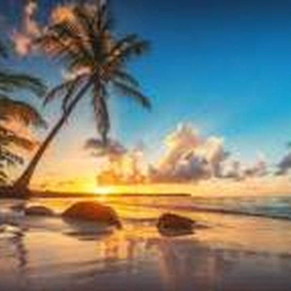 Tropical House!