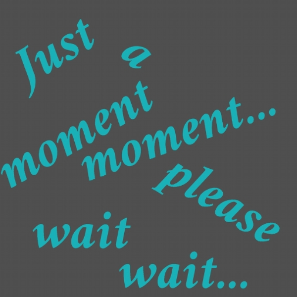 Moment in Waiting