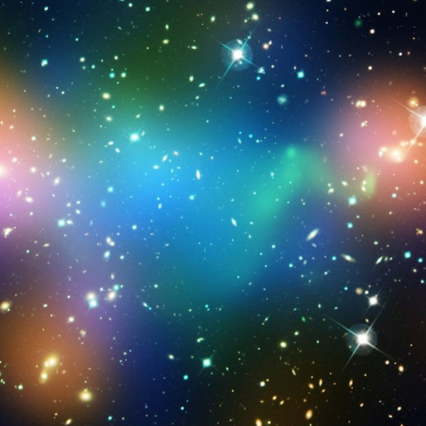 Stars