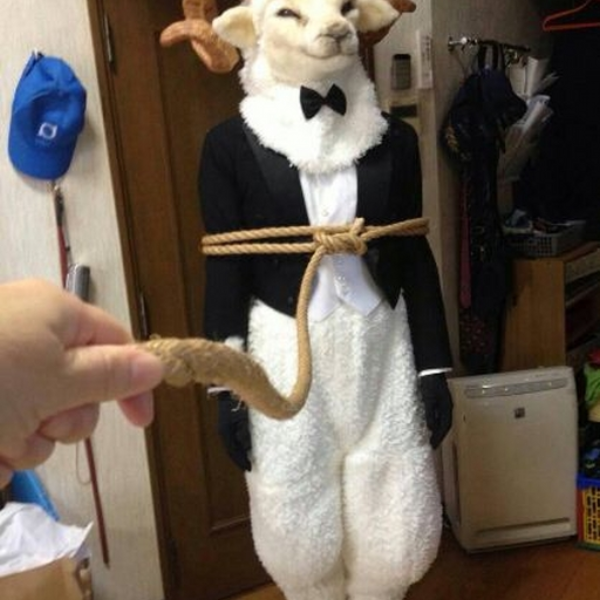 Cod