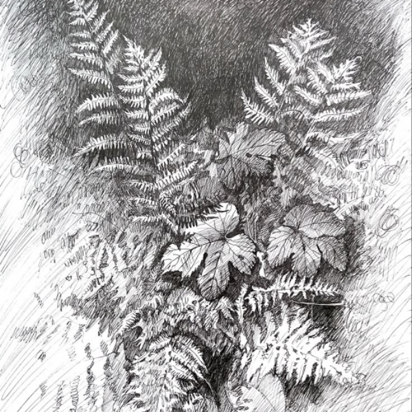 Foliage