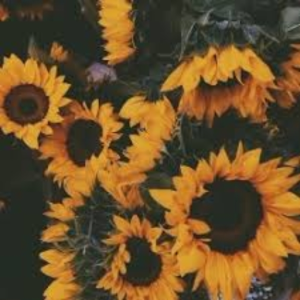 A N G E L (prod. leedsee)