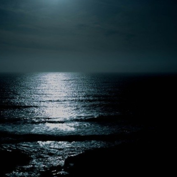 Moonlight Spinning